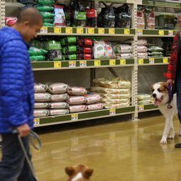 photograph by PeterW